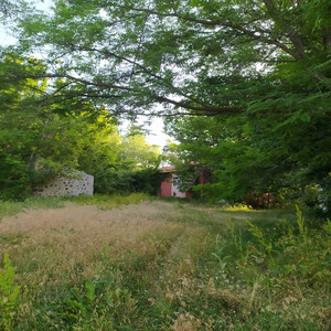 Deli Kan (Cover Version)