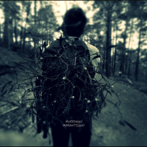 MUÉRDAGO (Instrumental Version)