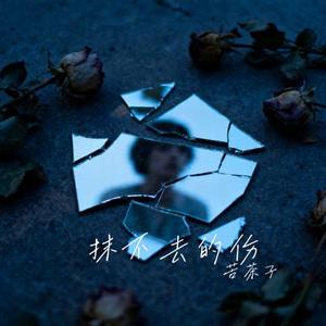抹不去的伤