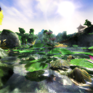 风起稻香（Cover 司夏）