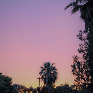 Back to You (feat. Sitkah)