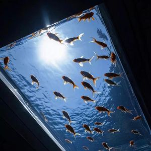 有一点沉溺（伴奏）