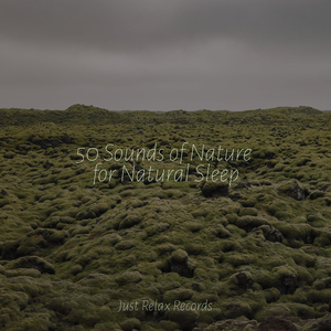 Melodic Blissful Melding