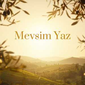 Mevsim yaz