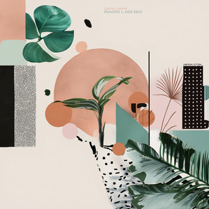 Hollygrape St. Memories