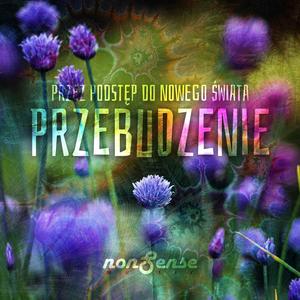 Przebudzenie