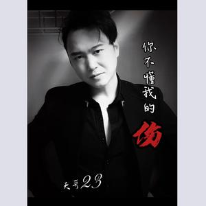 你不懂我的伤