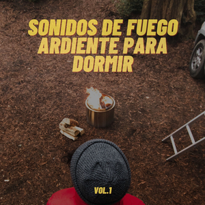Fuego con sonidos de viento aullando