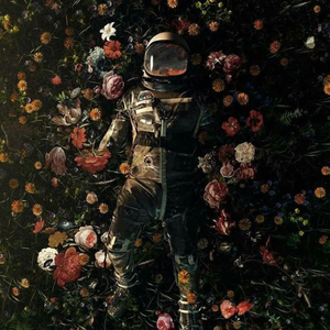 Nắng Ấm Xa Dần