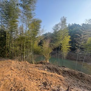 ウィアートル (Eason_AC's Piano Ver.)