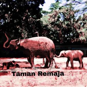 Taman Remaja