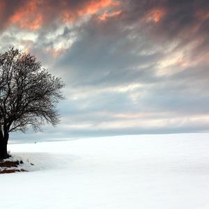 寒冷的冬夜只有夜空相伴