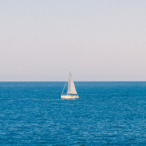 对白色小狗来说这是种奇遇