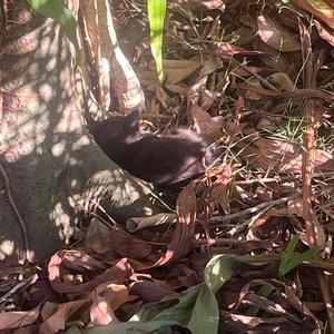 ♥*♡∞:｡.｡8| ｡.｡:∞♡*♥