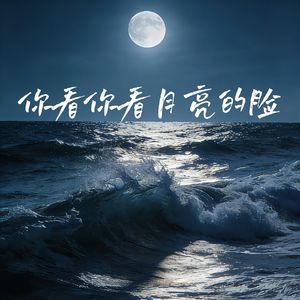 你看你看月亮的脸(烟嗓版)