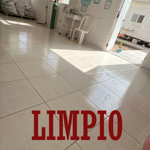 Limpio
