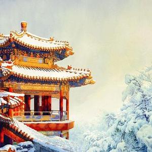 开车的哥们儿