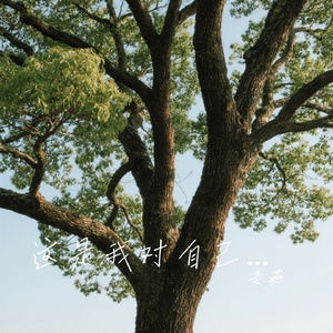 这是我对自己说的谎话