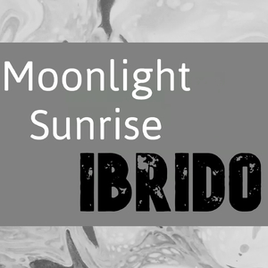 Moonlight Sunrise (Radio Mix)