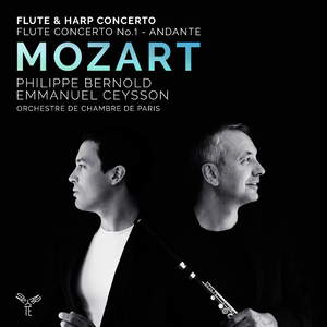 Flute Concerto No. 1 in G Major, K. 313: II. Adagio ma non troppo
