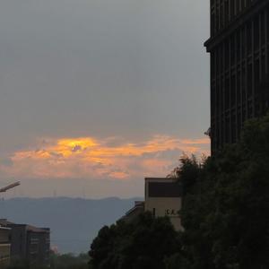 裹着心的光 estrus