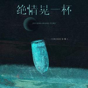 绝情晃一杯 (DJ黄周豪版)