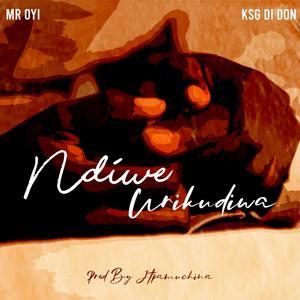 Ndiwe Urikudiwa (feat. Mr Oyi)