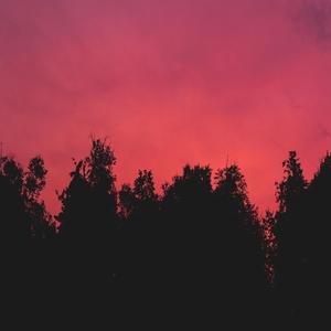 Let Me Know (feat. Maezelle)