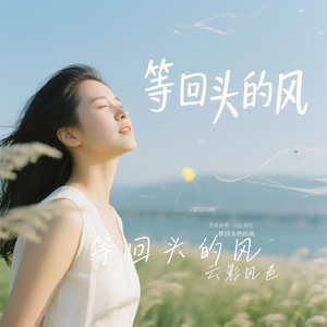 等回头的风