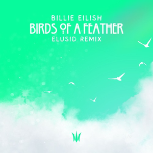 BILLIE EILISH - BIRDS OF A FEATHER (ELUSID Remix)