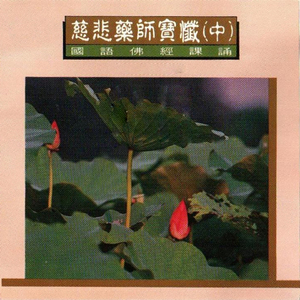 礼诸佛已次复忏悔