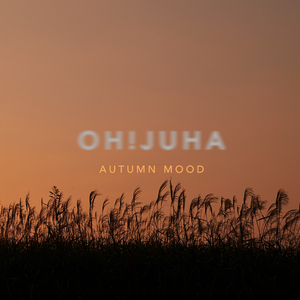 감이 뚝뚝 떨어진다