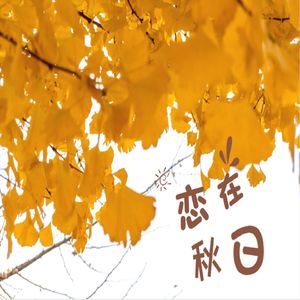 恋在秋日 之 旧时忧伤思念背景音乐BGM