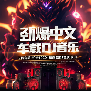 毕竟深爱过（DJ车载版）