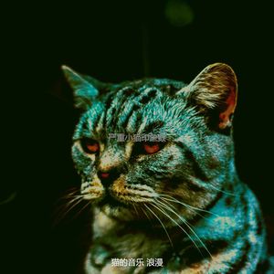 一尘不染情怀印象数