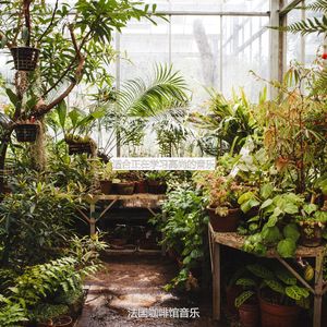 适合在家工作从容的音乐