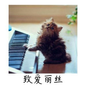 致爱丽丝