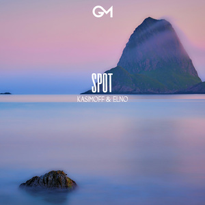 Spot