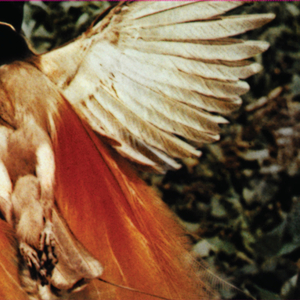 Painted on My Pillow