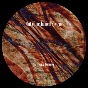 Biomechanical Function