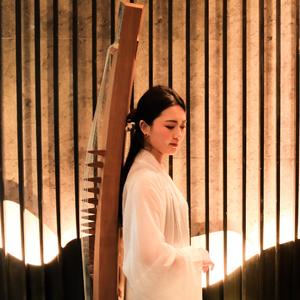 纯古筝｜《梦华录》电视剧插曲《明妃曲》