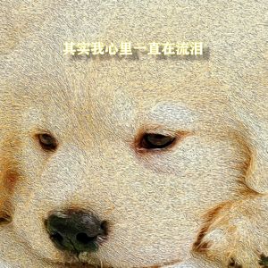 其实我心里一直在流泪