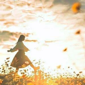 Lines of the Paradox