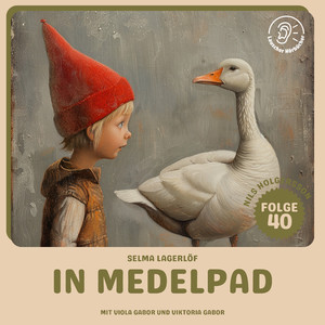 Kapitel 6 - In Medelpad (Nils Holgersson, Folge 40)