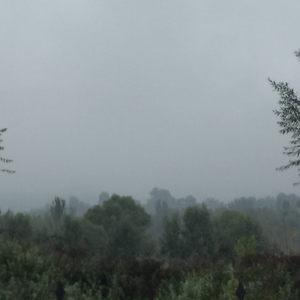 没说出口的再见