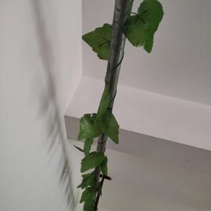 Atux xoh toy muzikisi