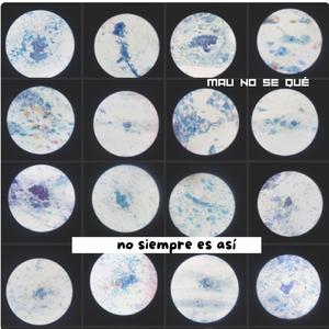 No siempre es así (midi version)