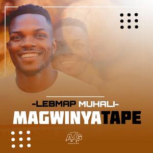 Vho makhulu (feat. Jr player, Acolly Mandiza, Batondy & Rachakill)