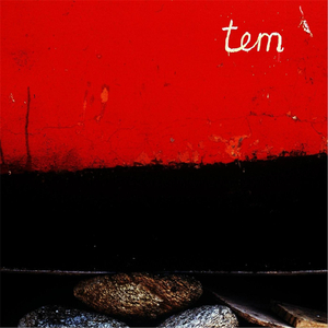 Tem