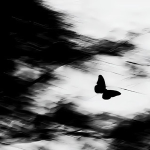 记念（我只想要拉住流年好好的说声再见）